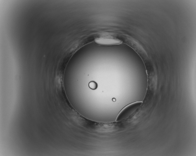 X0000115640329200911171427