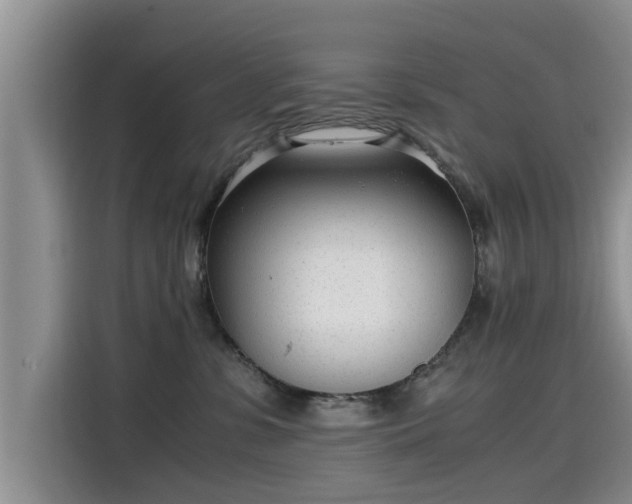 X0000115640331200911171427