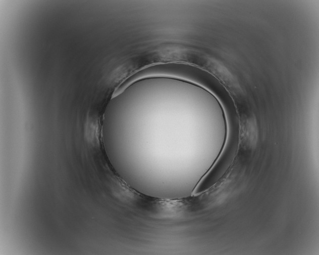 X0000115640333200911171427