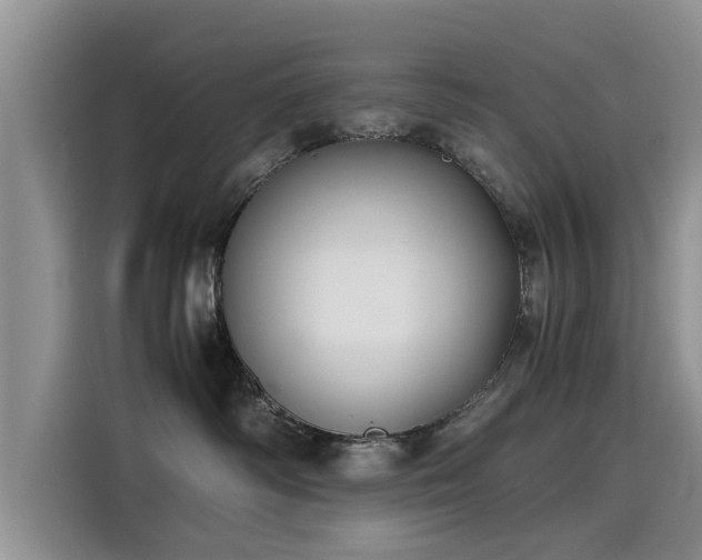 X0000115640334200911171427