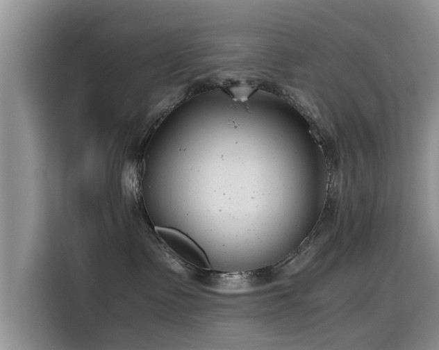 X0000115640335200911171427