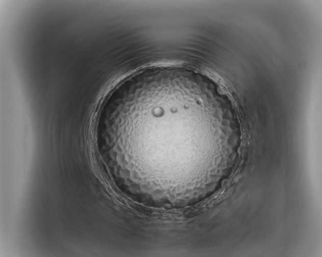 X0000115640337200911171427