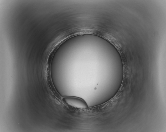 X0000115640338200911171427