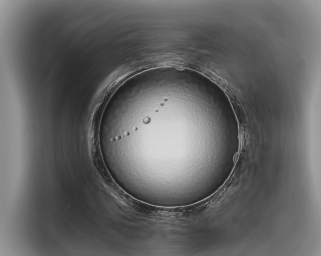 X0000115640339200911171427