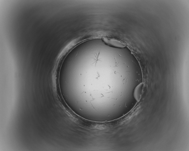 X0000115640341200911171427