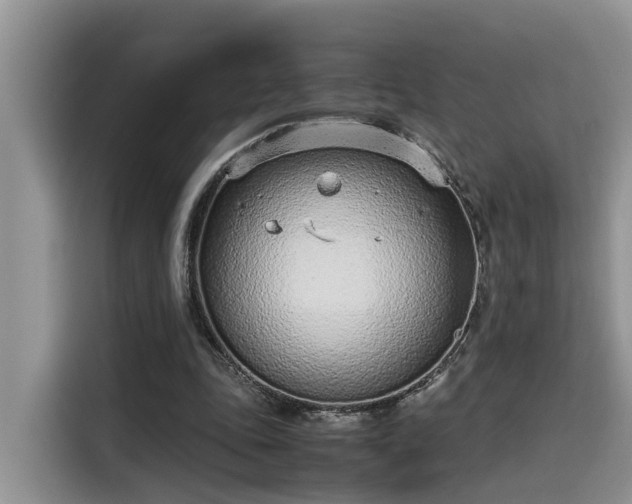 X0000115640343200911171427