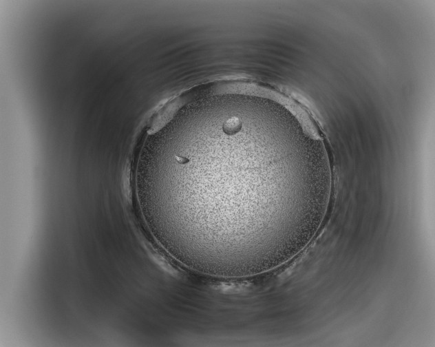 X0000115640345200911171427