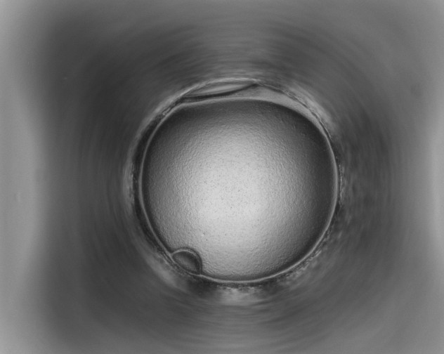 X0000115640346200911171427