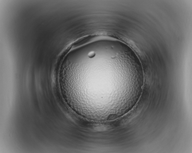 X0000115640347200911171427