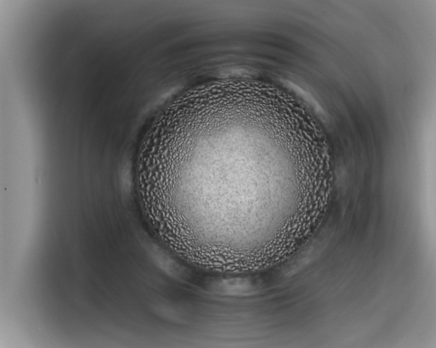 X0000115640353200911171427