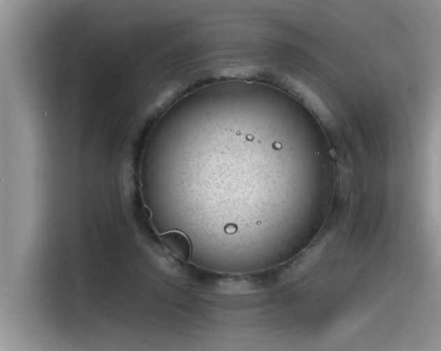 X0000115640354200911171427