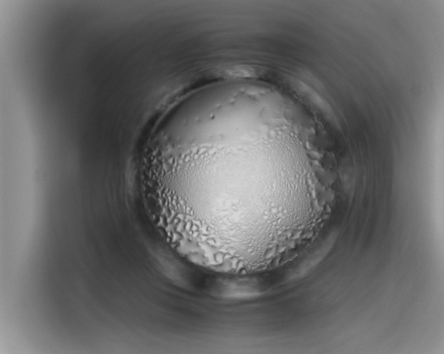 X0000115640359200911171427