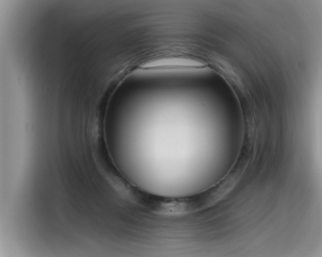 X0000115640362200911171427