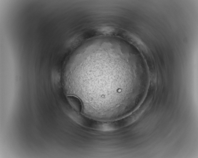 X0000115640365200911171427