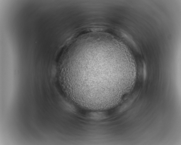 X0000115640367200911171427