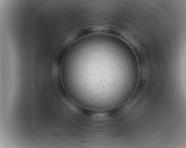 X0000115640375200911171427