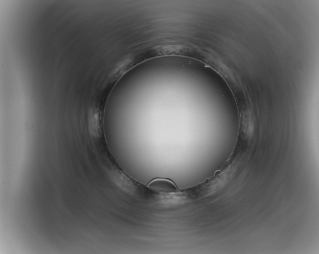 X0000115640378200911171427