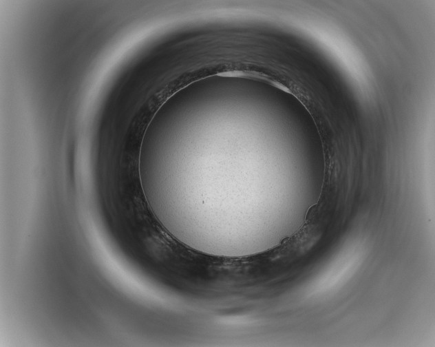 X0000115640383200911171427