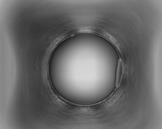 X0000115640385200911171427