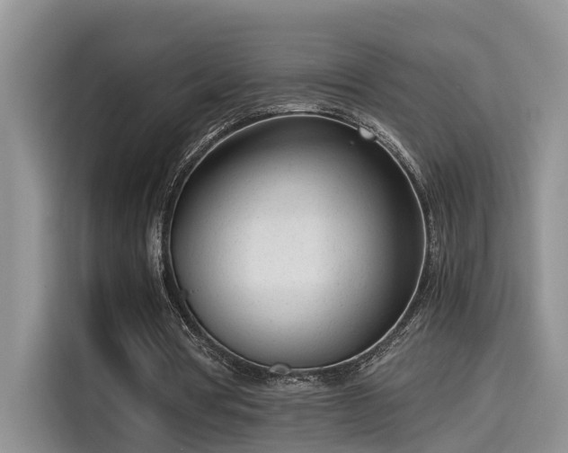 X0000115640386200911171427