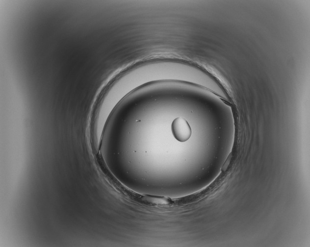 X0000115640391200911171427