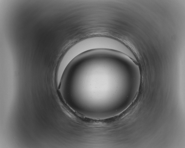 X0000115640397200911171426