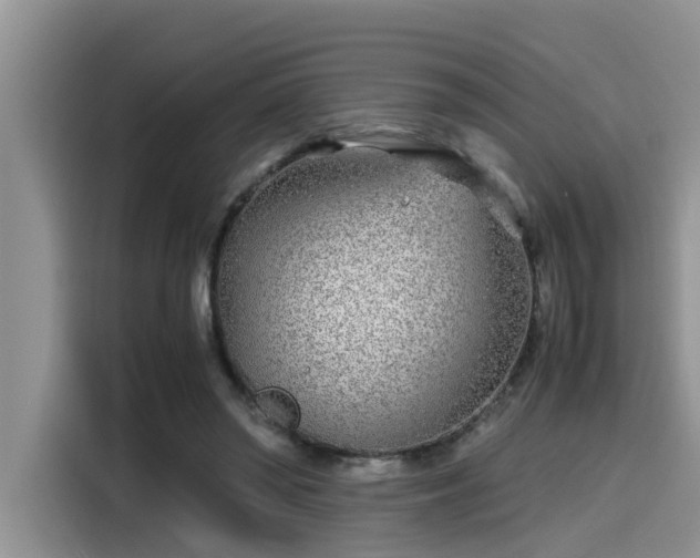 X0000115640398200911171426