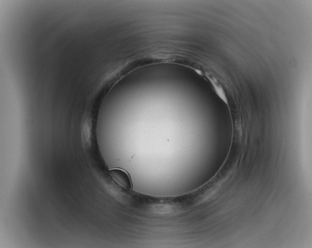 X0000115640404200911171426