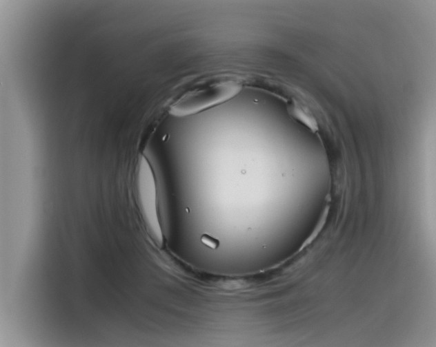 X0000115640409200911171426