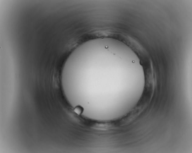 X0000115640414200911171426