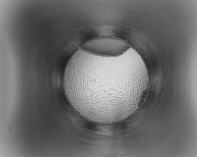 X0000115640417200911171426