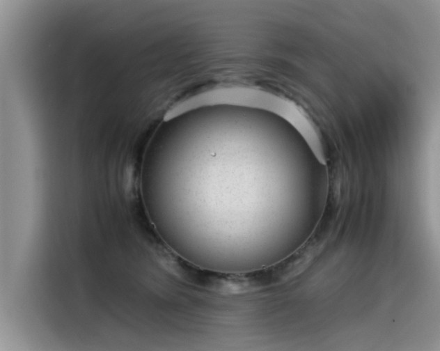 X0000115640420200911171426