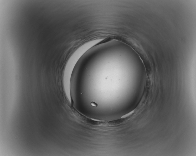 X0000115640423200911171426