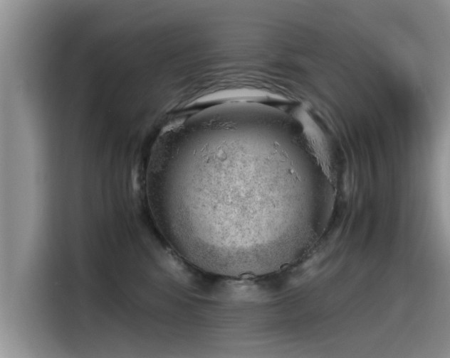 X0000115640424200911171426