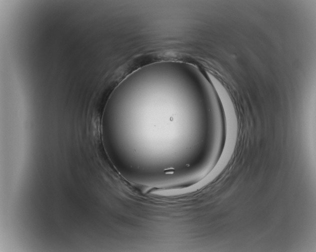 X0000115640425200911171426