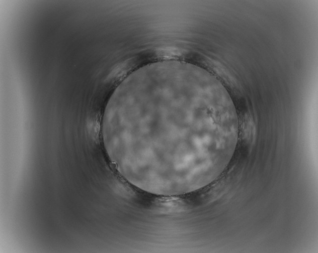 X0000115640427200911171426