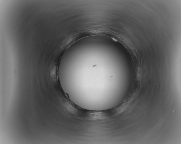 X0000115640428200911171426