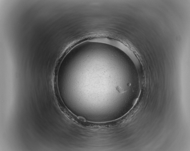 X0000115640434200911171425