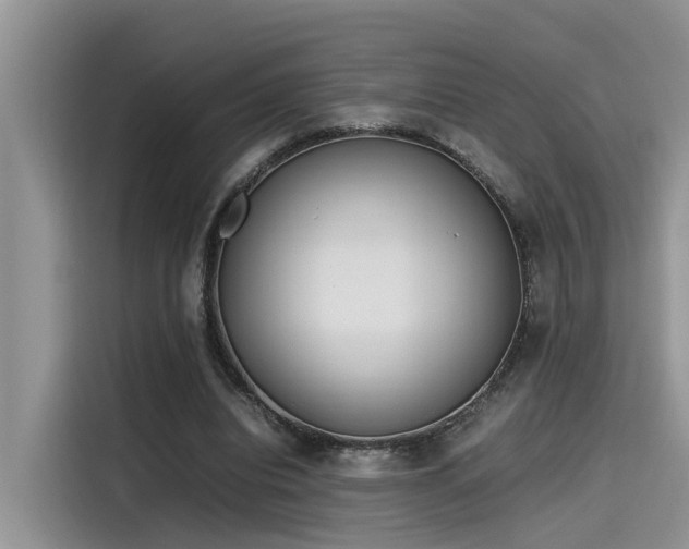 X0000115640440200911171425