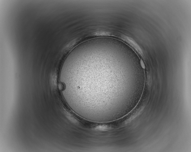 X0000115640441200911171425