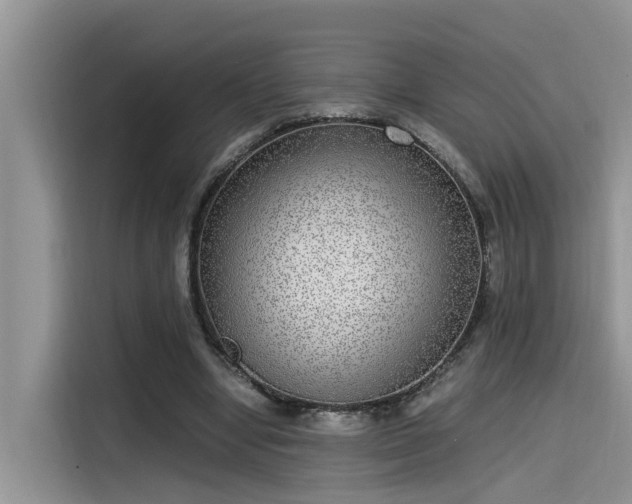 X0000115640442200911171425