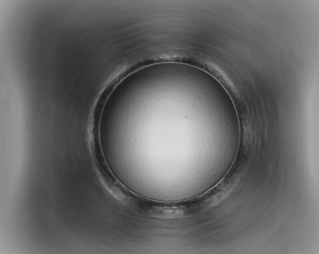 X0000115640443200911171425