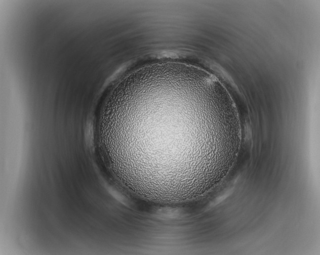 X0000115640444200911171425