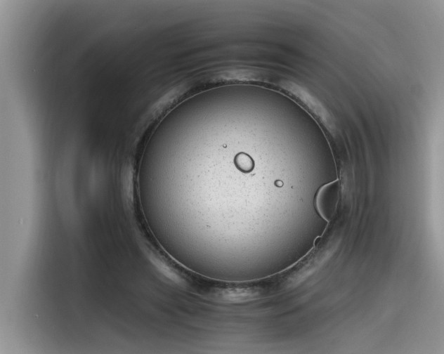 X0000115640445200911171426