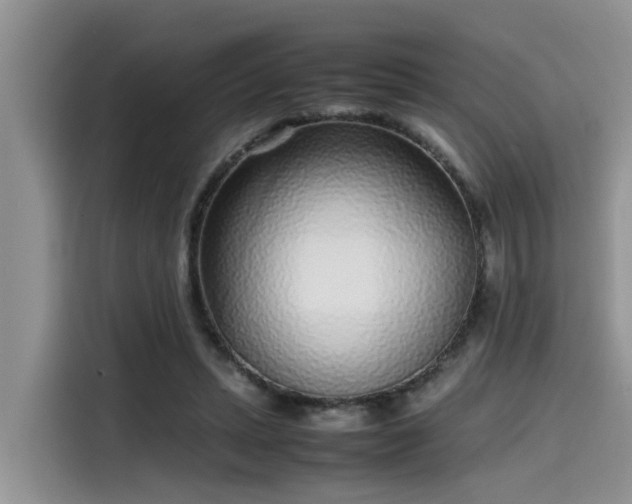 X0000115640447200911171426