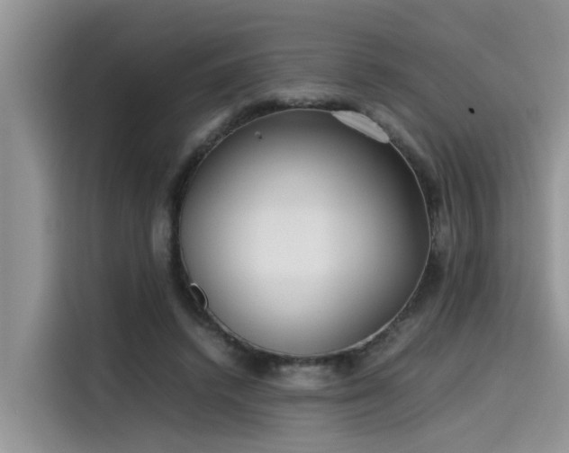 X0000115640448200911171426