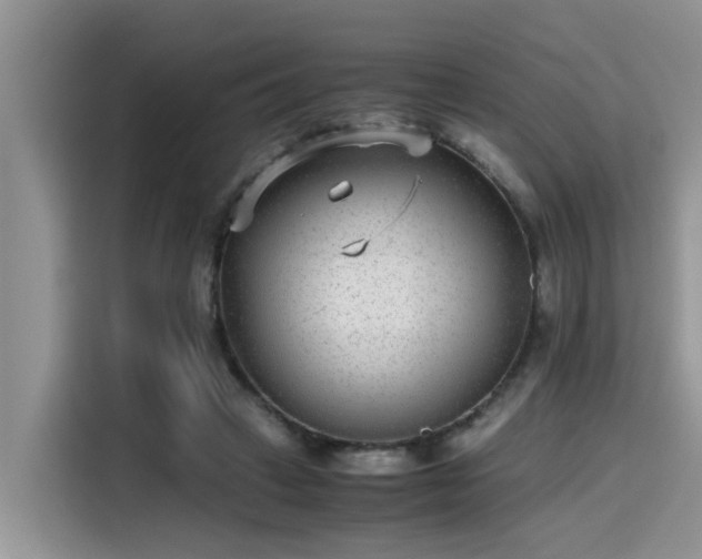 X0000115640449200911171426