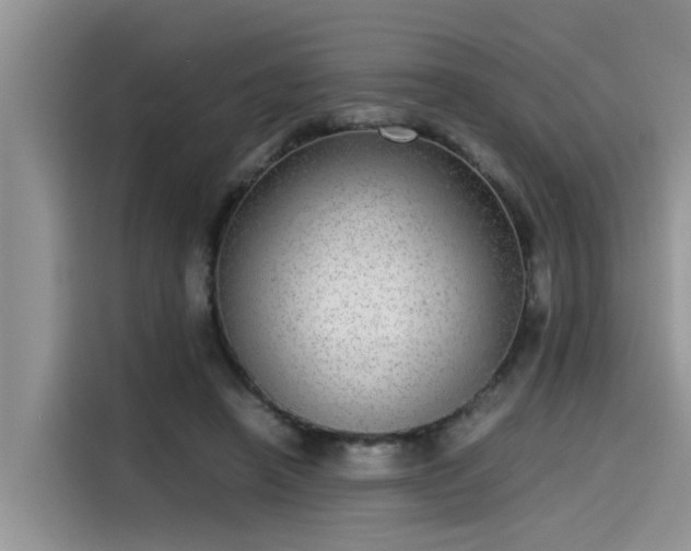 X0000115640450200911171426