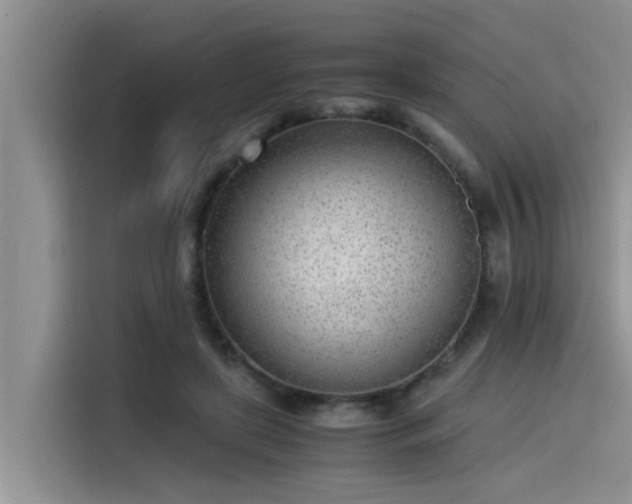 X0000115640451200911171426