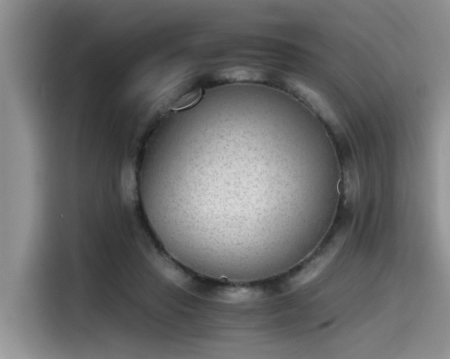 X0000115640453200911171426